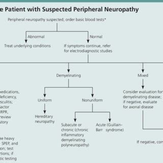 (PDF) Peripheral Neuropathy: Differential Diagnosis and Management