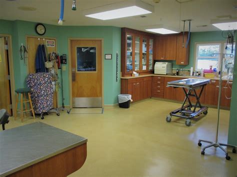 Mountain Park Animal Hospital / Virtual Tour