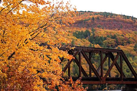 Vermont Fall Foliage stock photo. Image of peaceful, beautiful - 84315094