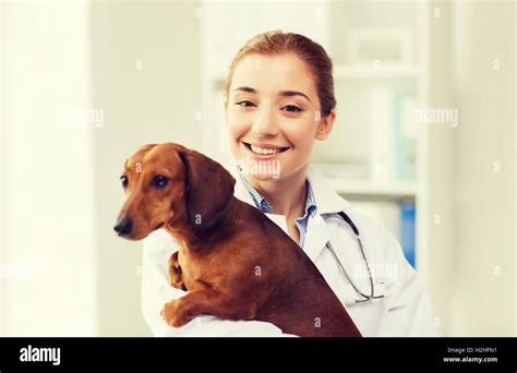 happy doctor with dog at vet clinic Stock Photo - Alamy