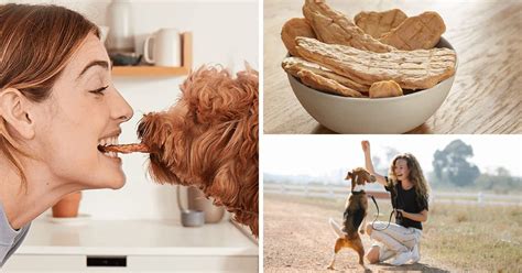 Get Your Paws On These Top 5 Dog Jerky Treats!