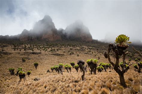 Landscape in African Mountains | 100knot