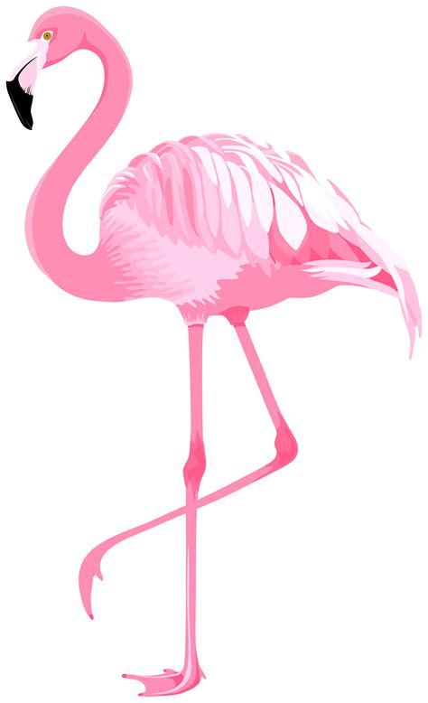 clipart flamingos 10 free Cliparts | Download images on Clipground 2024