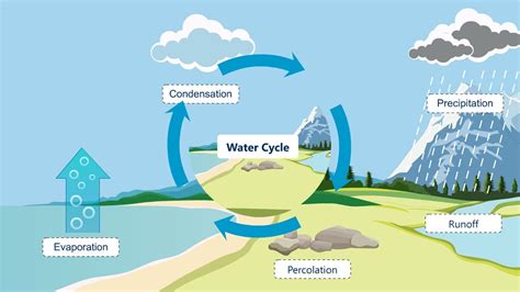 #Watercycle process | #hydrologicalcycle| #Watercycle Explanation | #letsgrowup - YouTube