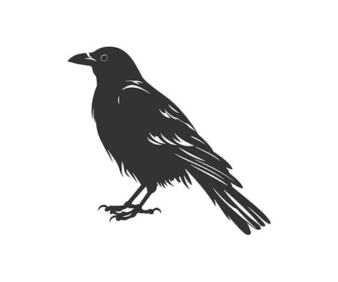 Premium Vector | Crow silhouette vector illustration design