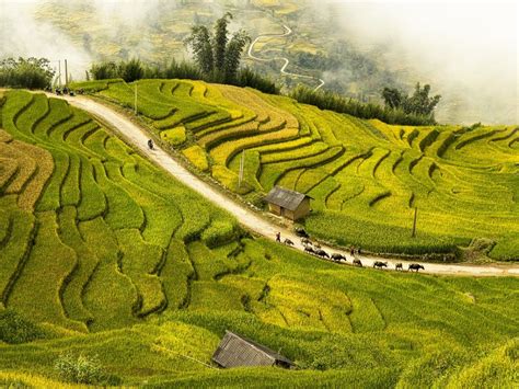 Seasons in Vietnam: An ultimate guide for your upcoming trip