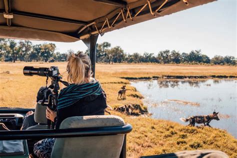 Hwange National Park Safari Guide: All You Need to Know