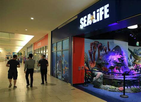 First look: Sea Life San Antonio aquarium opens Tuesday at the Shops at ...