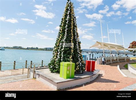 Christmas Decorations at Tauranga, New Zealand Stock Photo - Alamy