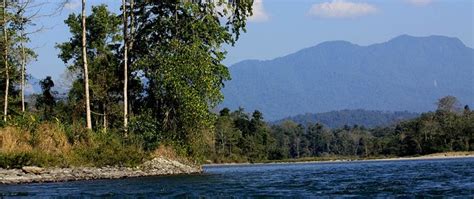 Nameri National Park | 10 Year Itch : India Travel Portal