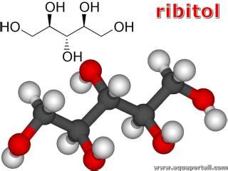 Ribitol : définition et explications – AquaPortail