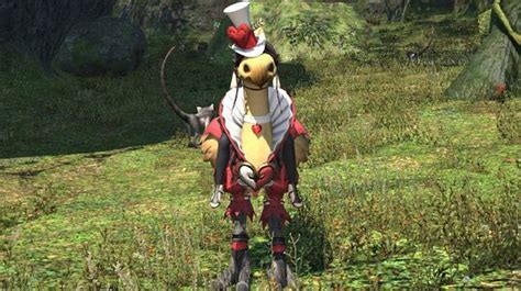 Paramour Barding - Final Fantasy XIV Online Wiki - FFXIV / FF14 Online Community Wiki and Guide