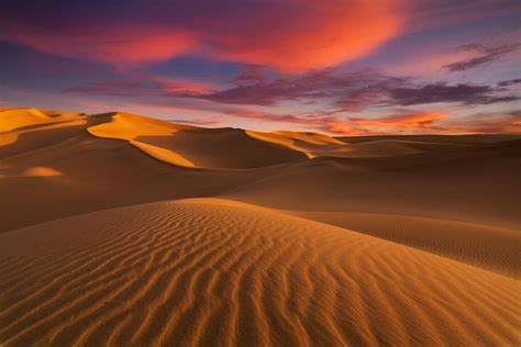 The Sahara: Earth's Largest Hot Desert | Desert photography, Nature photography, Deserts of the ...