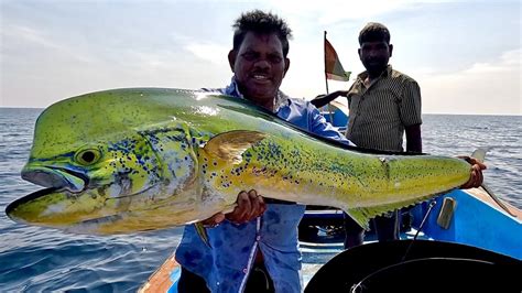 Catching Wahoo Fish & Mahi Mahi Fish in the Deep Sea - YouTube