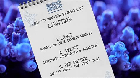 What is the Best Reef Tank Lighting Schedule? - Bulk Reef Supply