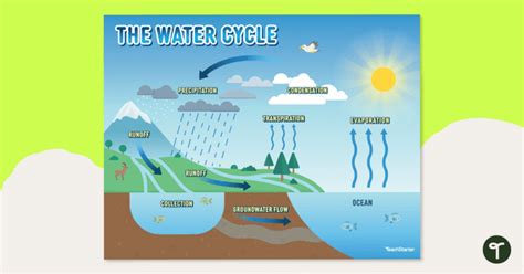 Groundwater Cycle Diagram