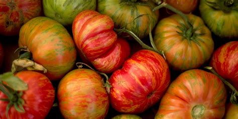 Expert Advice And The Best Heirloom Tomato Varieties - FoodPrint