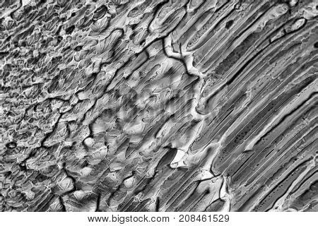 Microscopic Shot Image & Photo (Free Trial) | Bigstock