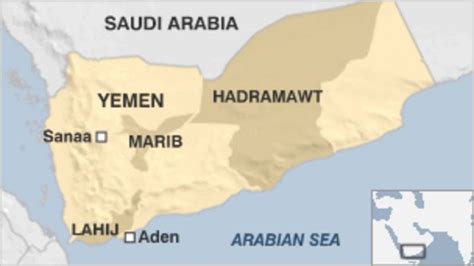 Two militants killed in Yemen 'drone strike' - BBC News