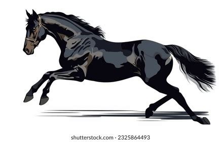 22,385 Jumping Black Horse Images, Stock Photos, 3D objects, & Vectors ...