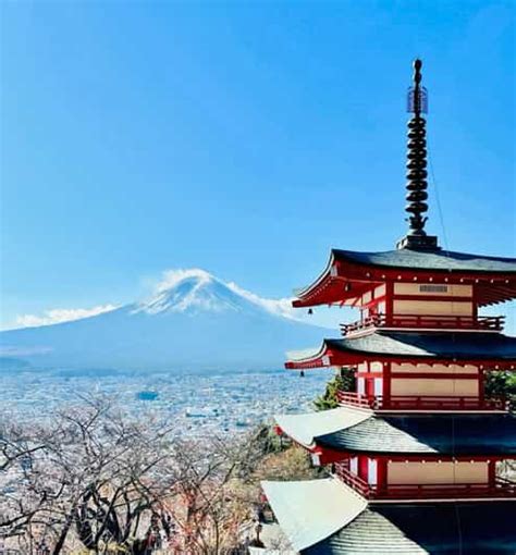 From Tokyo: Mt. Fuji Private Car Day Trip With Guide