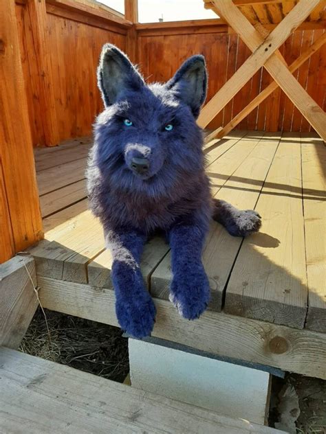 Wolf plush toy stuffed realistic wolf art doll handmade Pet | Etsy