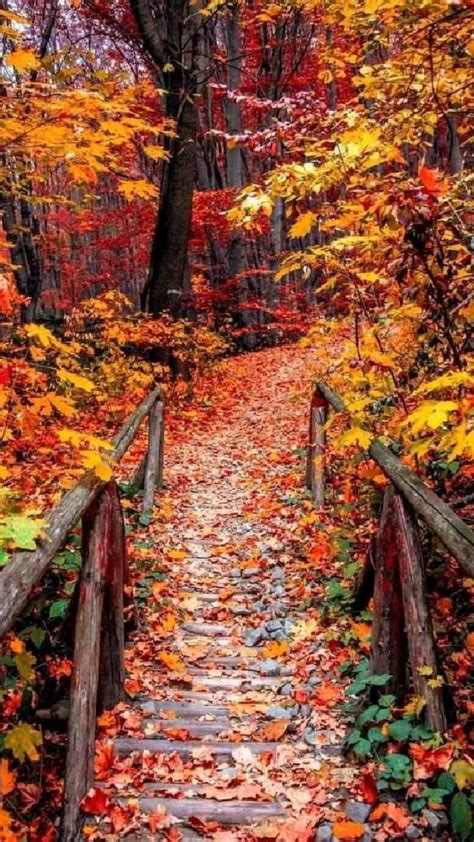 10 best spots to see fall colors in new hampshire – Artofit