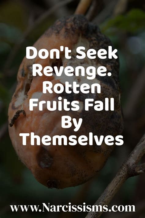 Don't Seek Revenge. Rotten Fruits Fall By Themselves | How to get revenge, Revenge quotes, Revenge