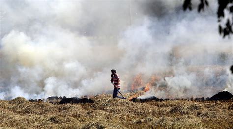 ‘Punjab, Delhi, Haryana & UP govts have prepared action plans to check stubble burning’ | India ...