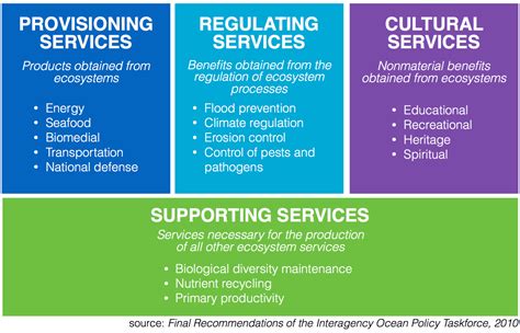 Ecosystem Services | Mid-Atlantic Regional Ocean Assessment