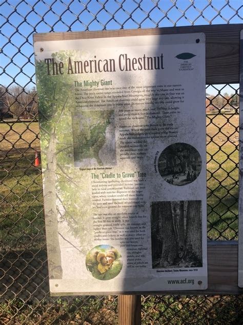 The American Chestnut Historical Marker