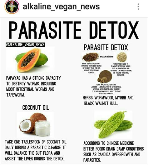 Pin by Derrick Lawrence on HEALTHY TIPS | Health remedies, Parasite detox, Nutrition