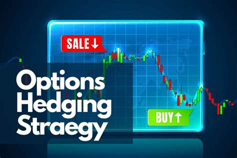 How to use Options for Hedging - Options Hedging Strategy Explained! - Trade Brains