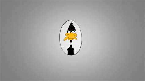 Daffy Duck Wallpaper - Wallpaper, High Definition, High Quality, Widescreen