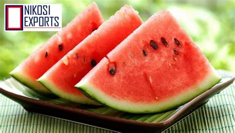 Kiran Watermelon, Packaging Size: 20 kg at Rs 19/kilogram in Coimbatore ...