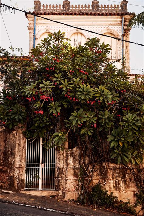 Discover Brazil's African heritage in Bahia | CN Traveller