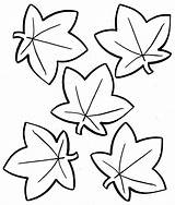 Leaves coloring Pages  90 Free For Kids sketch template