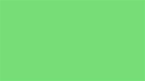 2560x1440 Pastel Green Solid Color Background
