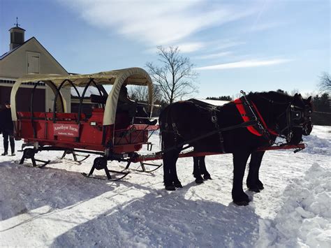 Farming with Draft Horses | Amethyst Farm