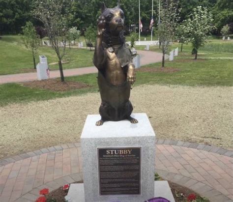 Heroic Stray Dog Became First Canine Sergeant and America’s Most ...