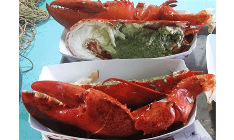 Our Restaurant | Ogunquit Lobster Pound | Seafood Restaurant in Ogunquit, ME