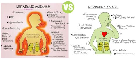 Difference Between Metabolic Acidosis and Metabolic Alkalosis