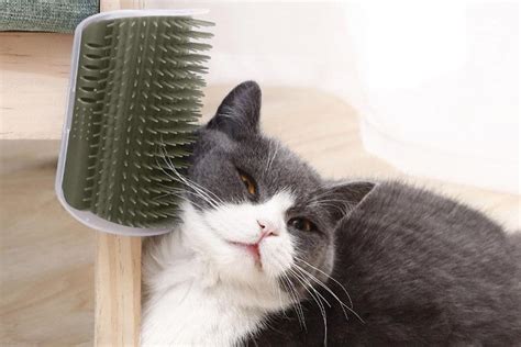 Cat Self Grooming Brush – Catnets