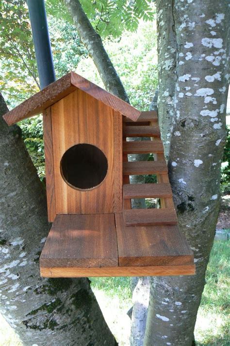 22 best Squirrel Nest Box Plans | Squirrel Den Box Plans images on ...