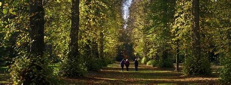 Westonbirt Arboretum Walk – Explore the National Arboretum | 10Adventures