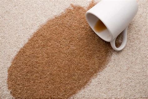 The Best Stain Proof Carpets | What Makes A Carpet Stain Resistant?