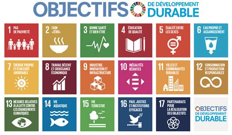 What are the Sustainable Development Goals?