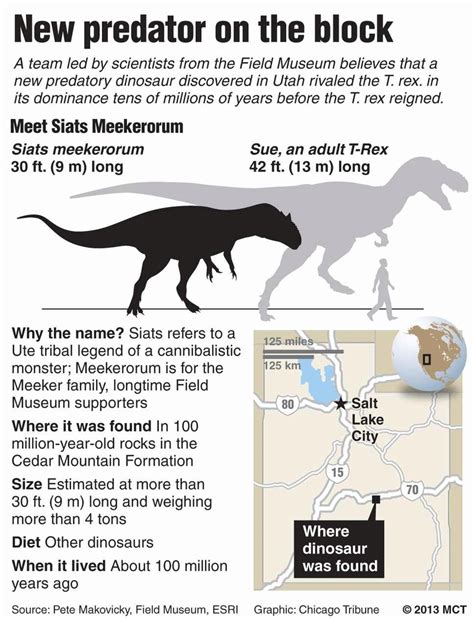 Dinosaur Size Charts