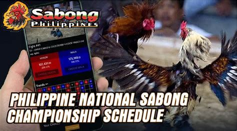 Sabong Tournaments and Schedule of the Biggest Competitions