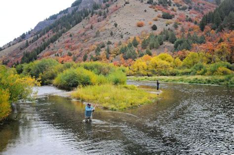 The allure of fall fishing | Amazing places on earth, Fall fishing ...